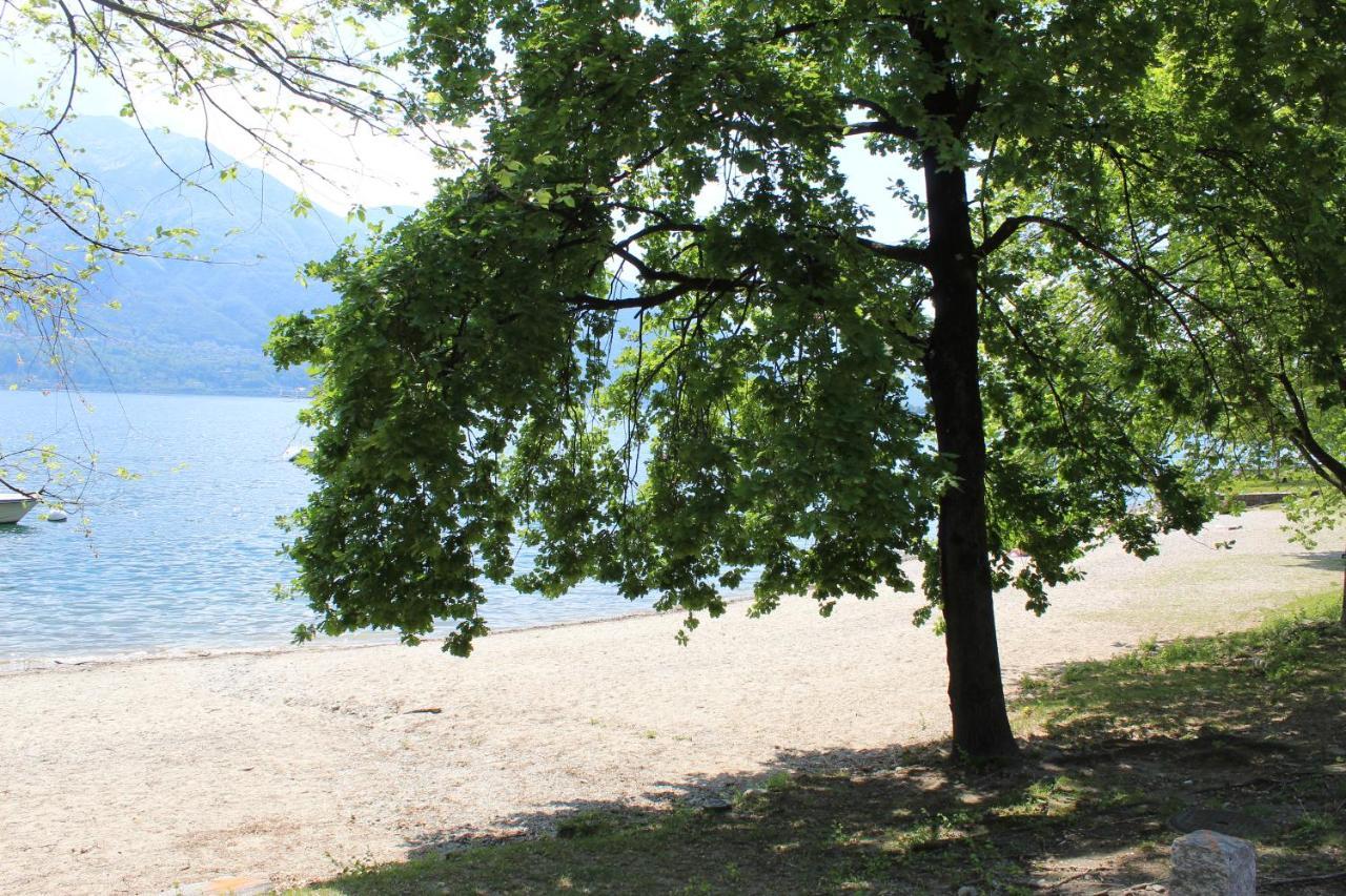Appartamento Con Terrazza A Due Minuti Dal Lago Minusio المظهر الخارجي الصورة